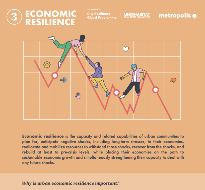 Economic Resilience Infographic